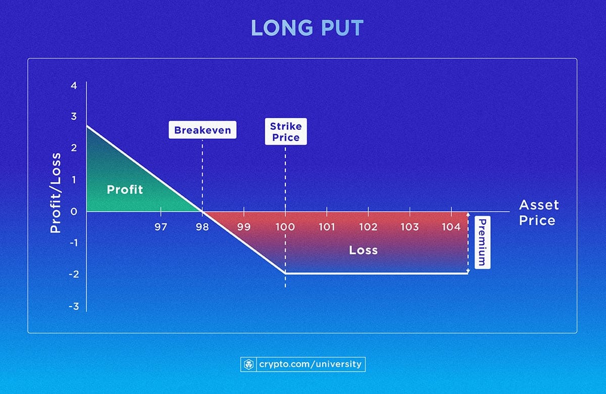 Infogr Long Put 1