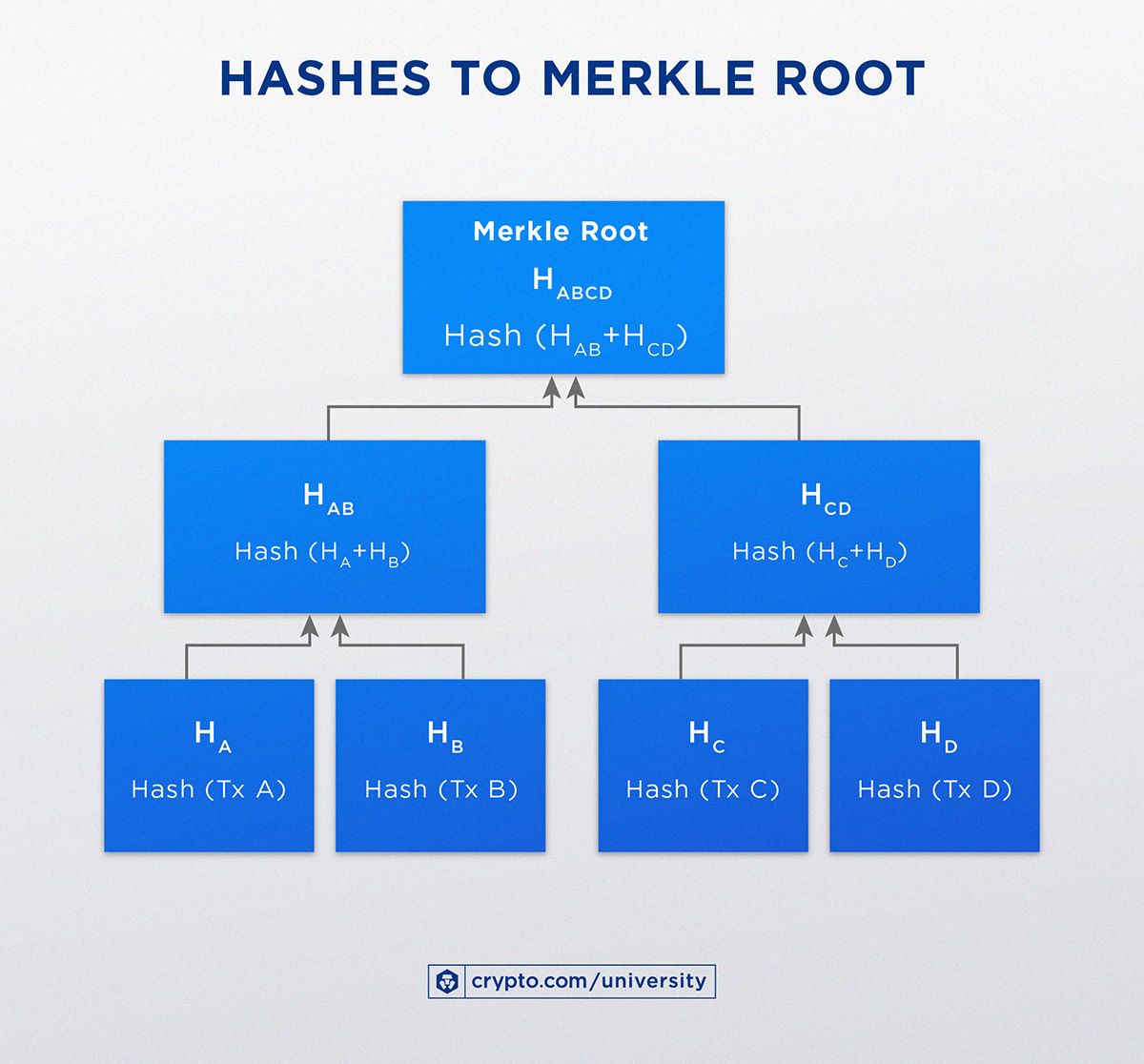 Hash a Merkle Rootjun29