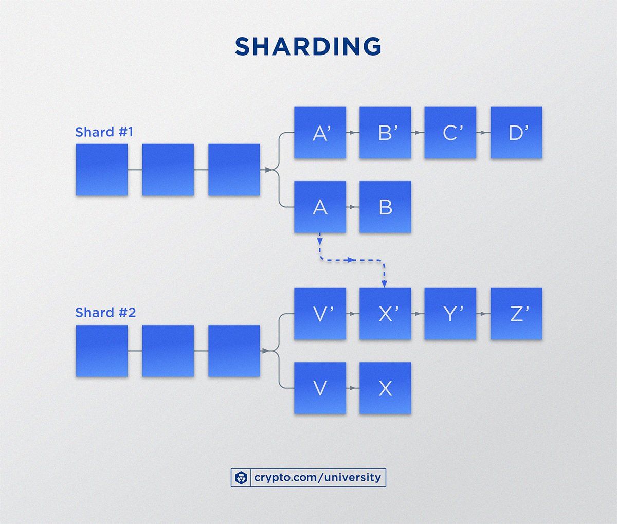 Sharding F