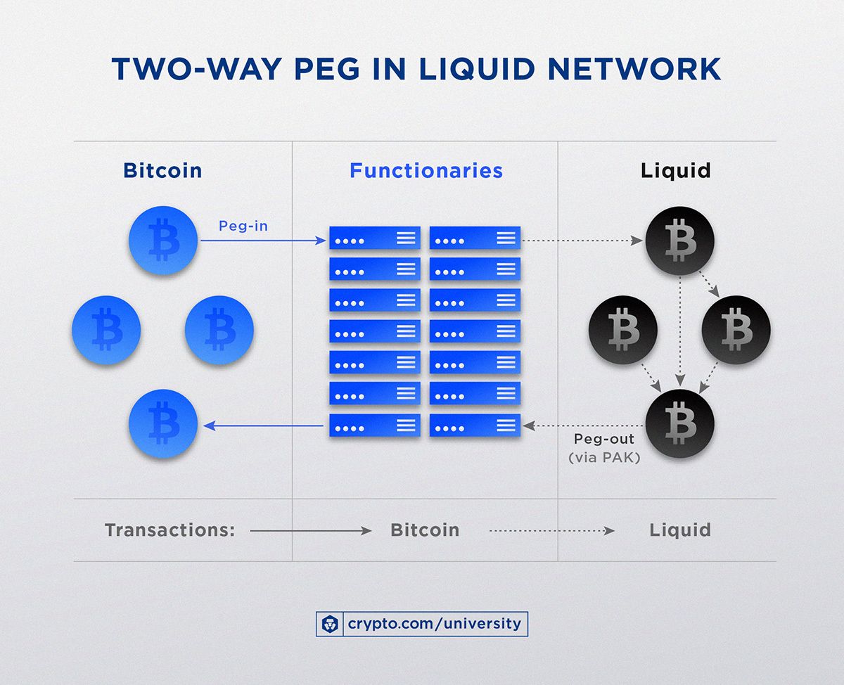 Peg bidirectionnel dans le réseau liquide 1jul11