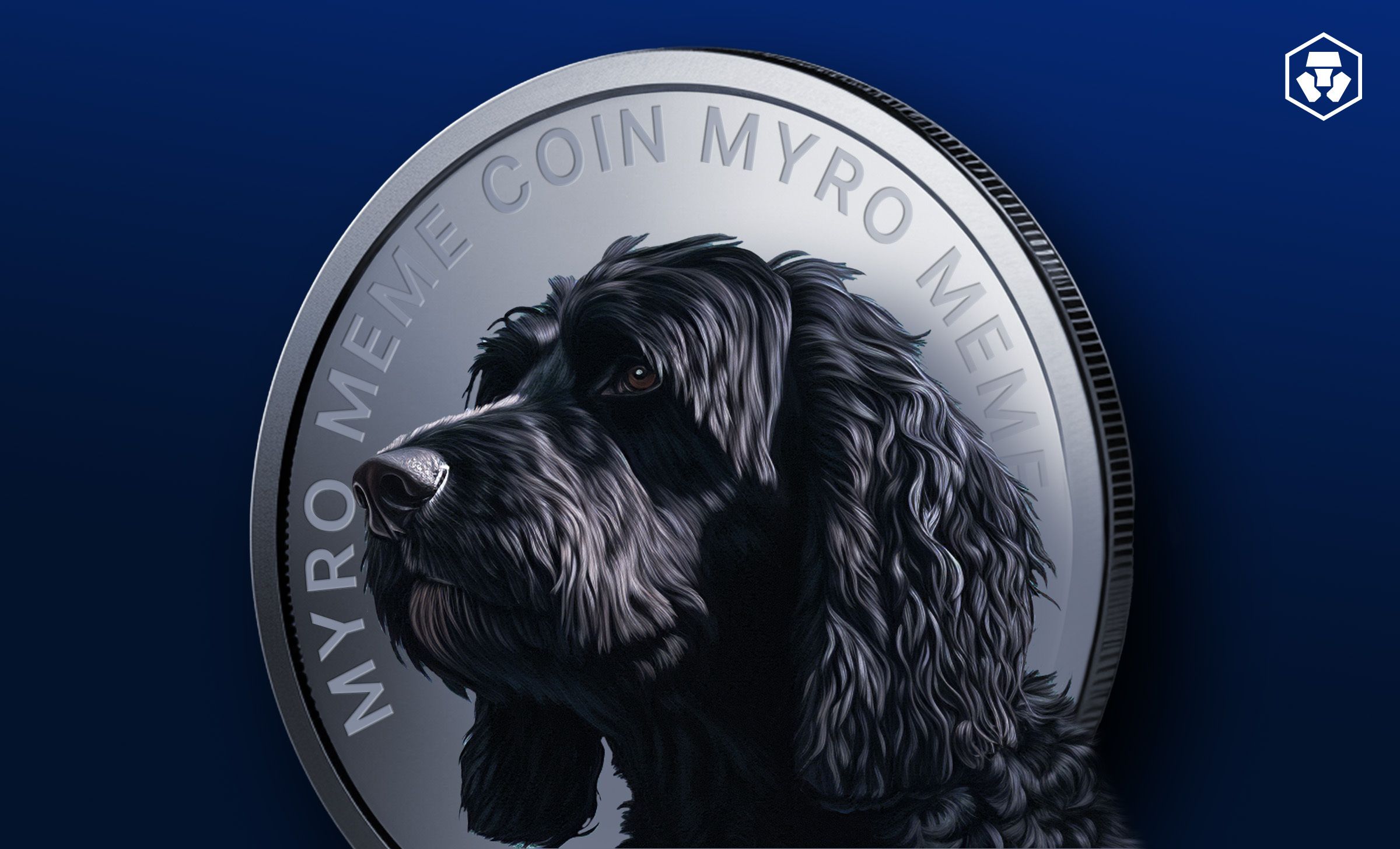 Myro Token Nedir ve MYRO Nasıl Satın Alınır